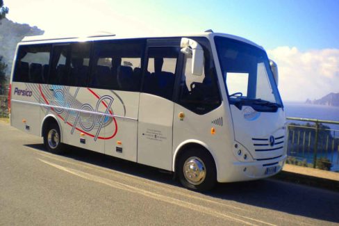 mercedes-benz-818-smile-1